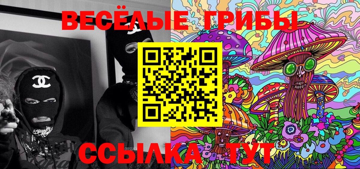Псилоцибиновые грибы прущие грибы Кстово